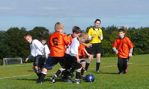 Want to Ref, Sign Up Now...